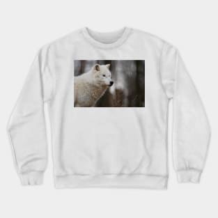 Arctic Wolf Crewneck Sweatshirt